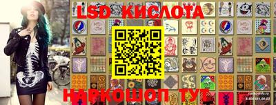 шишки Краснокаменск