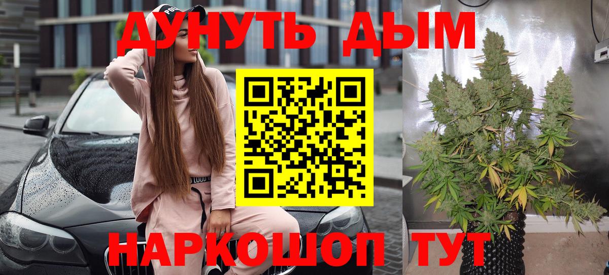 Шишки марихуана конопля Калач-на-Дону